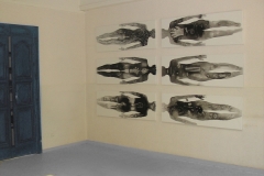 Exposition St Félicien 2005