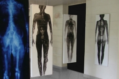 Exposition 2014 Montgeron Essonne