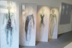 Exposition Florac 2011