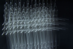 mireille spagnoletti -photographie- trajectoire 2015